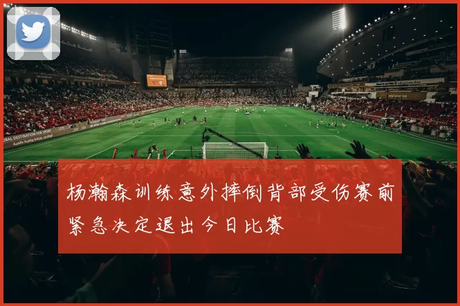 杨瀚森训练意外摔倒背部受伤赛前紧急决定退出今日比赛